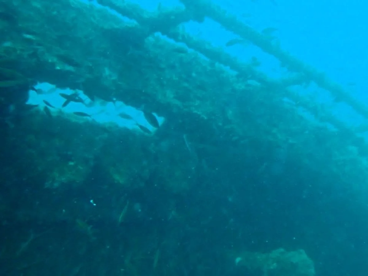 Encrusted structure of a submerged wreck seen underwater